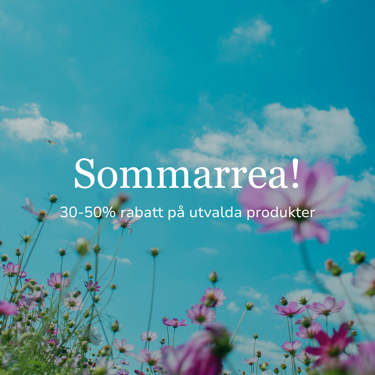 Sommarrea hos Ortopedservice.