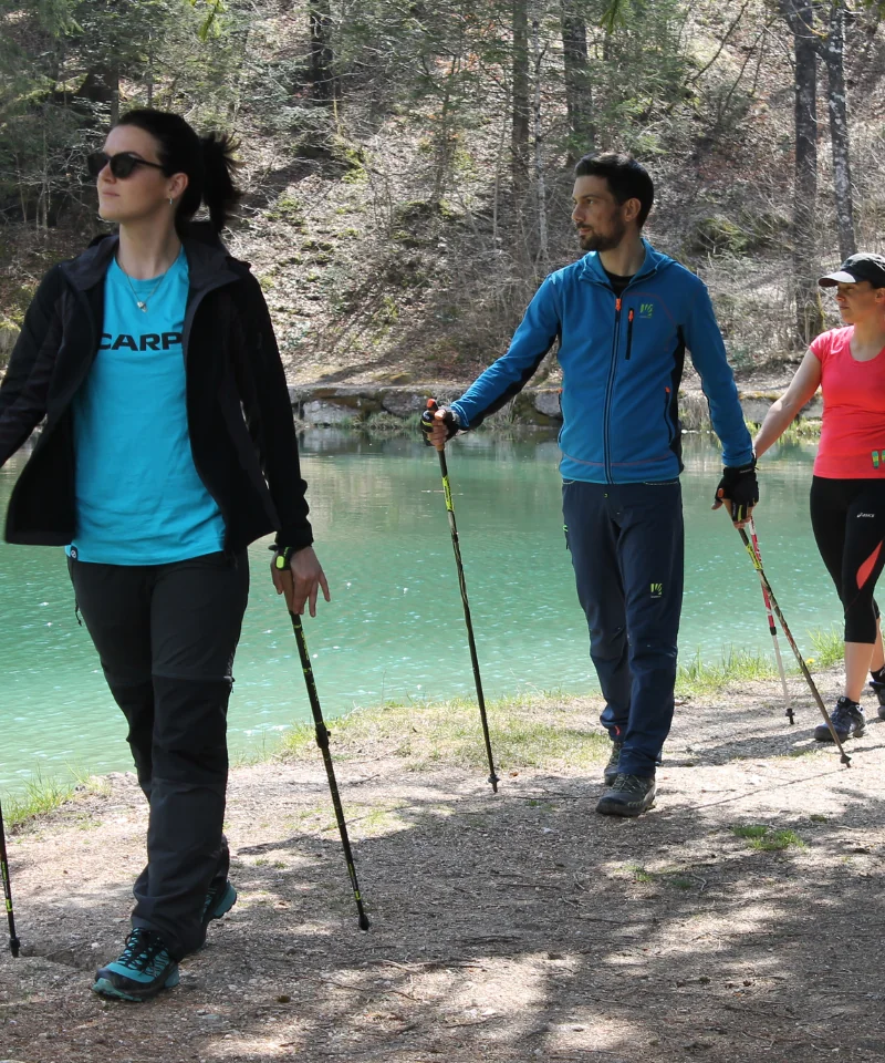 GABEL Walking Pole.
